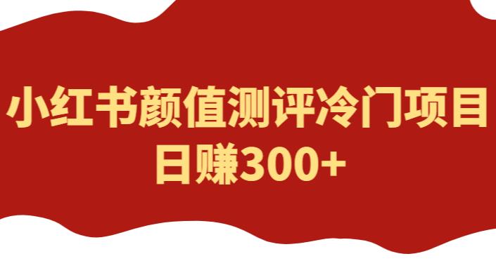外面1980的项目，小红书颜值测评冷门项目，日赚300+【揭秘】-创客云联盟