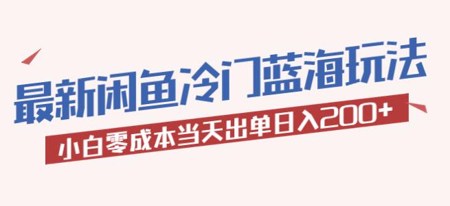 2023最新闲鱼冷门蓝海玩法，小白零成本当天出单日入200+【揭秘】-创客云联盟