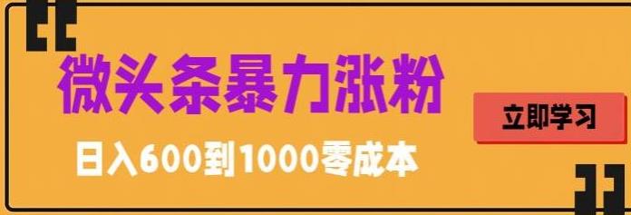 微头条暴力涨粉技巧搬运文案就能涨几万粉丝，简单0成本，日赚600【揭秘】-创客云联盟