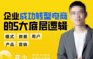 企业成功转型电商的5大底层逻辑,从模式、数据、用户、产品、营销5大板块,助你高效转型电商赛道-创客云联盟