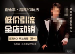 电商冰可乐·直通车·《低价引流·全店动销》,直通车·超高ROI玩法(其一)全店动销必学玩法-创客云联盟