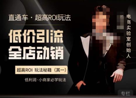 电商冰可乐·直通车·《低价引流·全店动销》，直通车·超高ROI玩法（其一）全店动销必学玩法-创客云联盟