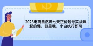 2023电商自然流七天正价起号实战课：起的慢，但是稳，小白执行即可！-创客云联盟