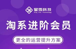 星雪·淘系进阶课程,快速提升突破技能流量瓶颈必备(更新2023年5月)-创客云联盟