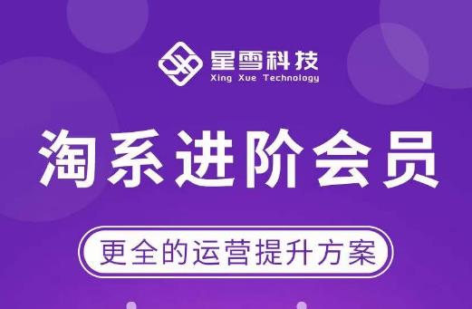 星雪·淘系进阶课程，快速提升突破技能流量瓶颈必备（更新2023年5月）-创客云联盟