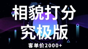 相貌打分究极版,客单价2000+纯新手小白就可操作的项目-创客云联盟