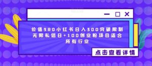 价值980小红书日入300突破限制无限私信日+100创业粉项目适合所有行业-创客云联盟