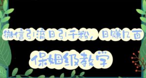 微信互推圈半自动引流方案,矩阵操作日引千人思路【详细视频教程】-创客云联盟