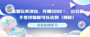 益智玩具项目,月赚5000+,小白新手坚持做就可以达到【揭秘】-创客云联盟