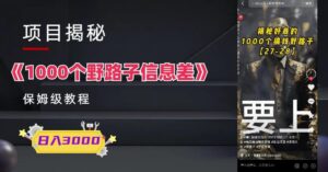 1000个野路子信息差保姆式教程-单日变现3000+的玩法解密-创客云联盟