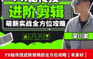 PR进阶剪辑培训班,让你快速成为剪辑大师12节视频课程+素材!-创客云联盟