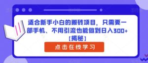 适合新手小白的搬砖项目,只需要一部手机、不用引流也能做到日入300+【揭秘】-创客云联盟