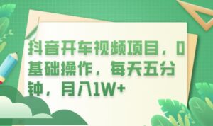 抖音开车视频项目,0基础操作,每天五分钟,月入1W+【揭秘】-创客云联盟