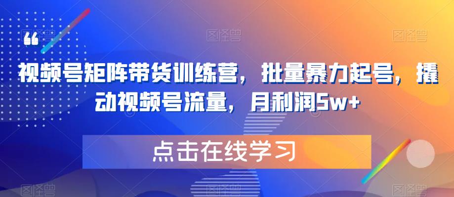 视频号矩阵带货训练营，批量暴力起号，撬动视频号流量，月利润5w+-创客云联盟