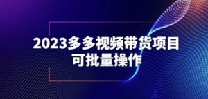2023多多视频带货项目,可批量操作【保姆级教学】【揭秘】-创客云联盟