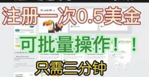 国外项目注册一次0.5美金，只需三分钟无脑操作，可批量同时放大操作，小白工作室福利【揭秘】-创客云联盟