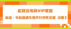 松鼠会电商VIP教程：松鼠《付费推广标品·半标直通车操作针对性答疑&诊断》-创客云联盟