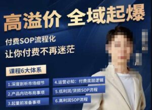 逸风-拼多多高溢价全域起爆，6大课程体系，付费玩法全套实操-创客云联盟