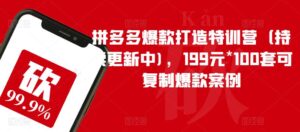 拼多多爆款打造特训营(持续更新中),199元*100套可复制爆款案例-创客云联盟