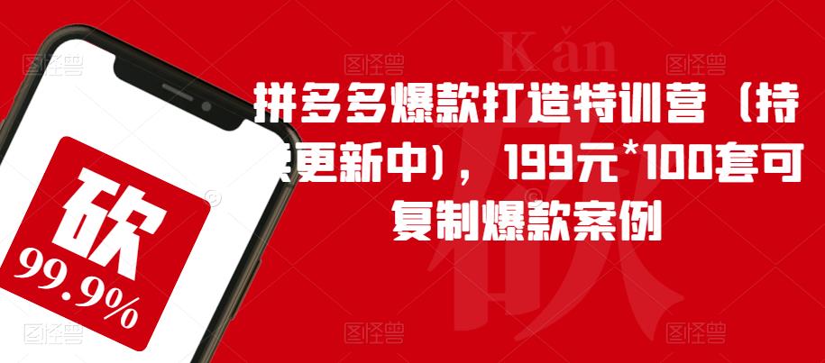 拼多多爆款打造特训营（持续更新中)，199元*100套可复制爆款案例-创客云联盟