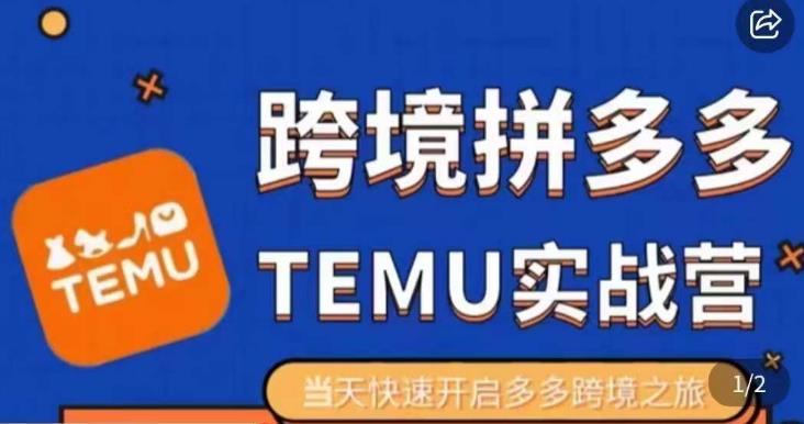 大鹏出海·拼多多跨境temu运营指导，开店注册+选品+核价上架，日出千单实战课-创客云联盟