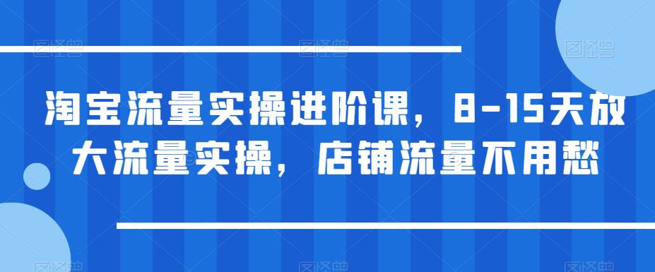 淘宝流量实操进阶课，8-15天放大流量实操，店铺流量不用愁-创客云联盟