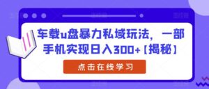 车载u盘暴力私域玩法,一部手机实现日入300+【揭秘】-创客云联盟