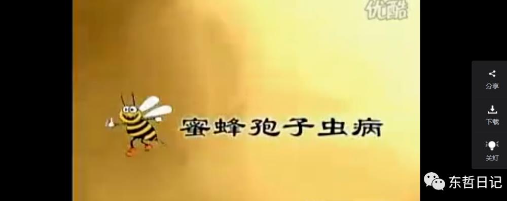 20240102091915-6593d513c3288