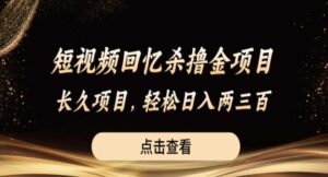 短视频回忆杀撸金项目，长久项目，轻松日入两三张【揭秘】-创客云联盟
