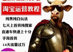 猫老师·淘系算法逆向解密,纯黑纯白玩法,七天上首页纯搜索,手淘首页14天流量过万-创客云联盟