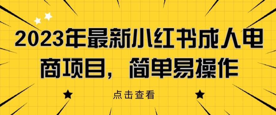 2023年最新小红书成人电商项目，简单易操作【详细教程】【揭秘】-创客云联盟
