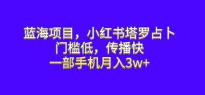 蓝海项目，小红书塔罗占卜，门槛低，传播快，一部手机月入3w+【揭秘】-创客云联盟