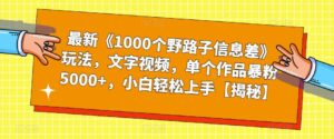 最新《1000个野路子信息差》玩法,文字视频,单个作品暴粉5000+,小白轻松上手【揭秘】-创客云联盟