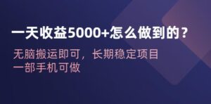 一天收益5000+怎么做到的?无脑搬运即可,长期稳定项目,一部手机可做【揭秘】-创客云联盟