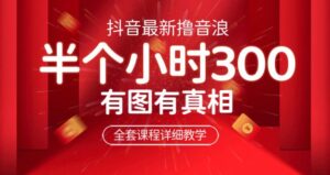 最新抖音撸音浪教学，半小时300米，不露脸不出境，两三场就能拉爆直播间【仅揭秘】-创客云联盟