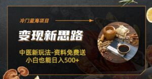 冷门蓝海项目-中医新玩法-资料免费送小白也能日入500+【揭秘】-创客云联盟