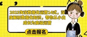 2023淘宝数据化运营14式,深度解析数据化知识,帮你从小白成长为高级运营-创客云联盟