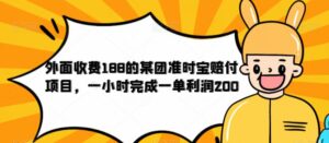 外面收费188的美团准时宝赔付项目,一小时完成一单利润200【仅揭秘】-创客云联盟