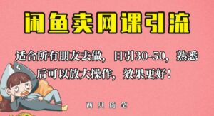 外面这份课卖698，闲鱼卖网课引流创业粉，新手也可日引50+流量【揭秘】-创客云联盟
