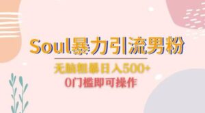 Soul暴力引流男粉玩法,无脑粗暴日入500+,0门槛即可操作【揭秘】-创客云联盟
