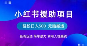 小红书援助项目新奇玩法,简单暴力,无脑搬运轻松日入500【揭秘】-创客云联盟