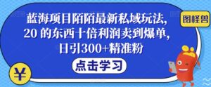 蓝海项目陌陌最新私域玩法，20 的东西十倍利润卖到爆单，日引300+精准粉【揭秘】-创客云联盟