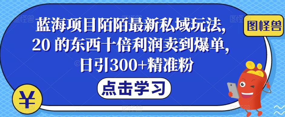 蓝海项目陌陌最新私域玩法，20 的东西十倍利润卖到爆单，日引300+精准粉【揭秘】-创客云联盟