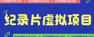 价值1280的蓝海纪录片虚拟项目，保姆级教学，轻松日入600+【揭秘】-创客云联盟