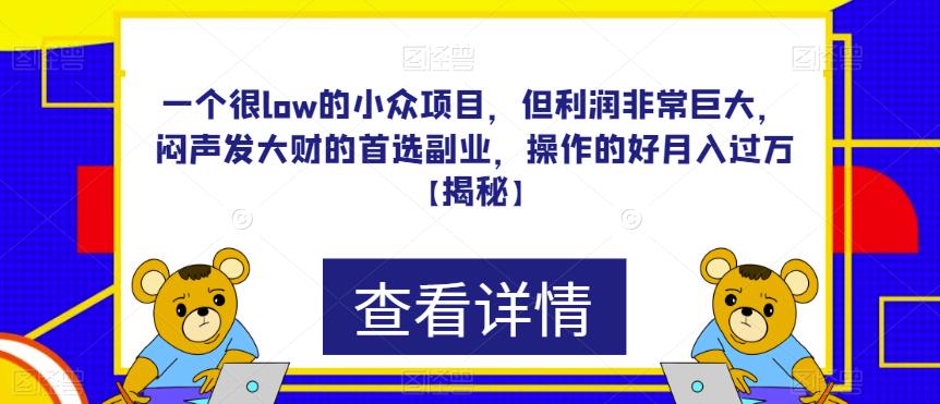 一个很low的小众项目，但利润非常巨大，闷声发大财的首选副业，操作的好月入过万【揭秘】-创客云联盟
