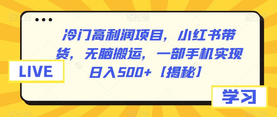 冷门高利润项目，小红书带货，无脑搬运，一部手机实现日入500+【揭秘】-创客云联盟