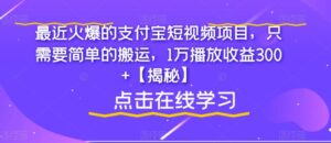 最近火爆的支付宝短视频项目,只需要简单的搬运,1万播放收益300+【揭秘】-创客云联盟