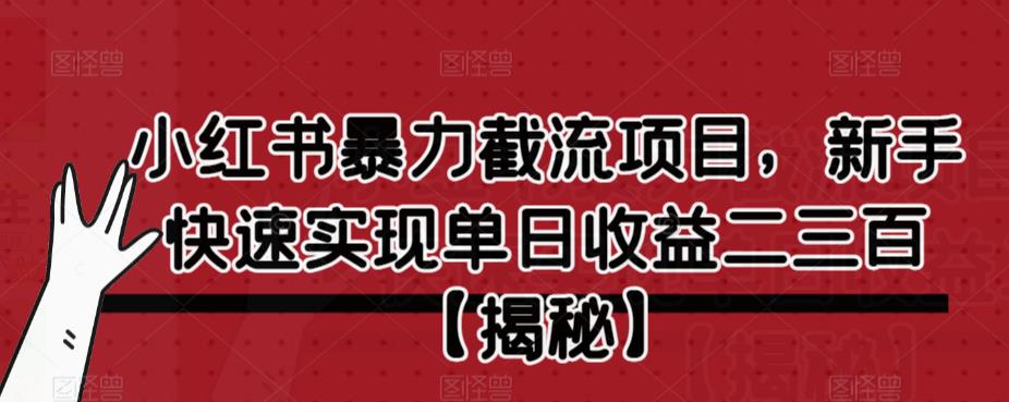 小红书暴力截流项目，新手快速实现单日收益二三百【仅揭秘】-创客云联盟