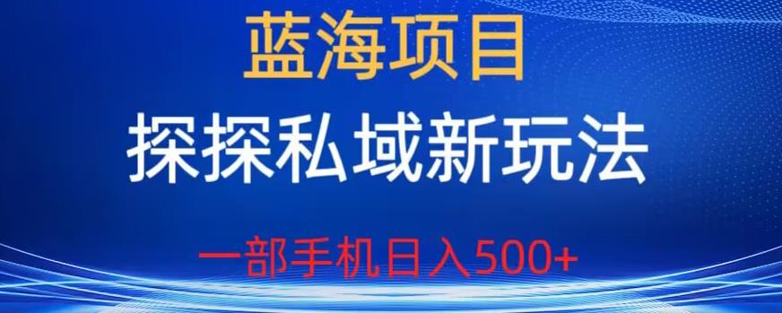 蓝海项目，探探私域新玩法，一部手机日入500+很轻松【揭秘】-创客云联盟