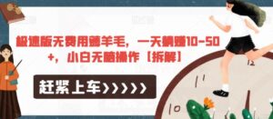 极速版无费用薅羊毛，一天躺赚10-50+，小白无脑操作【拆解】-创客云联盟